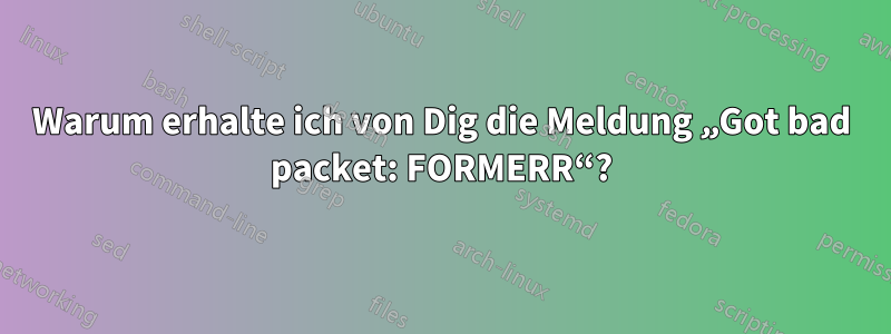 Warum erhalte ich von Dig die Meldung „Got bad packet: FORMERR“?