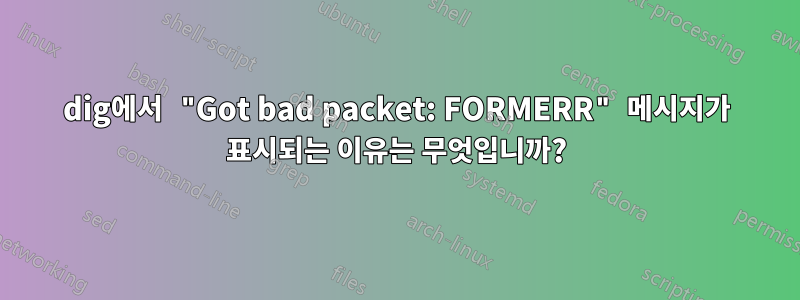 dig에서 "Got bad packet: FORMERR" 메시지가 표시되는 이유는 무엇입니까?