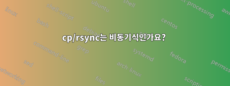 cp/rsync는 비동기식인가요?