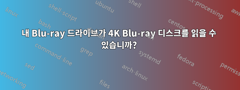 내 Blu-ray 드라이브가 4K Blu-ray 디스크를 읽을 수 있습니까?