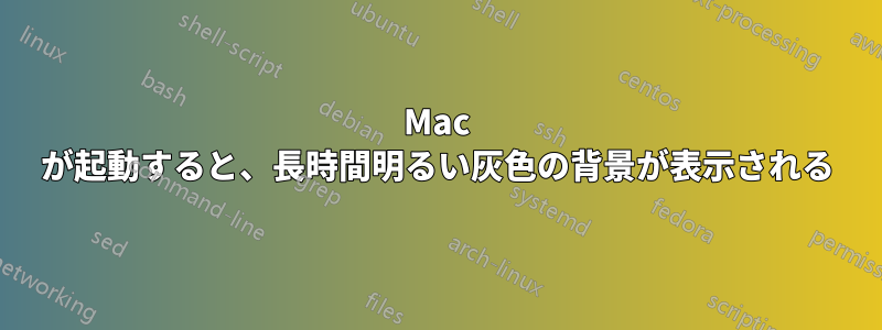 Mac が起動すると、長時間明るい灰色の背景が表示される