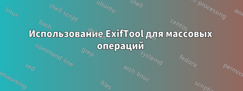 Использование ExifTool для массовых операций