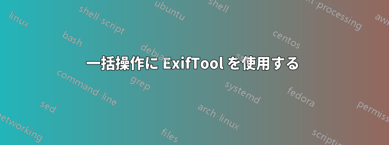 一括操作に ExifTool を使用する