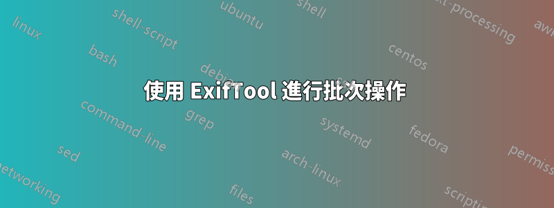 使用 ExifTool 進行批次操作