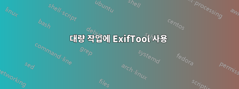 대량 작업에 ExifTool 사용