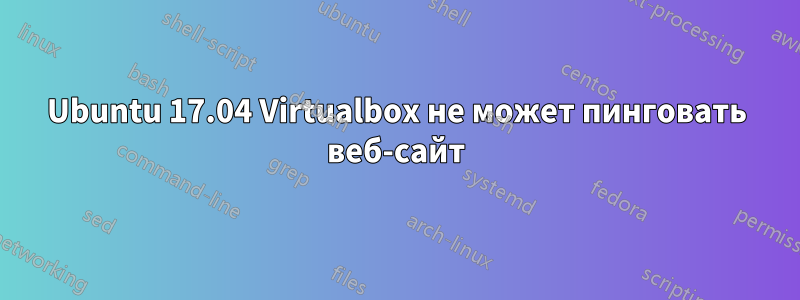 Ubuntu 17.04 Virtualbox не может пинговать веб-сайт