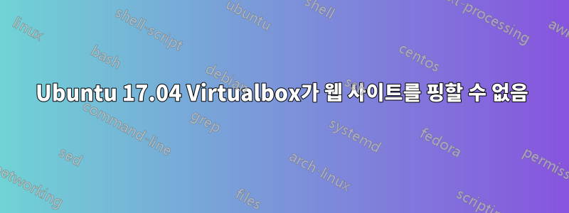 Ubuntu 17.04 Virtualbox가 웹 사이트를 핑할 수 없음