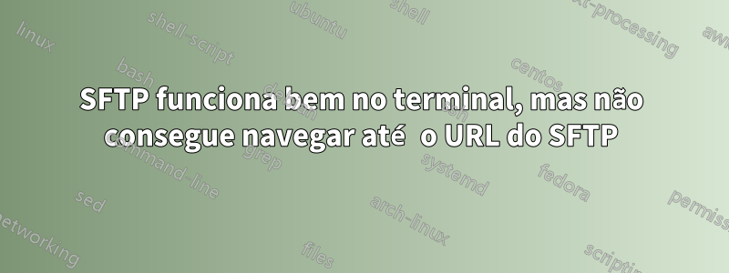 SFTP funciona bem no terminal, mas não consegue navegar até o URL do SFTP