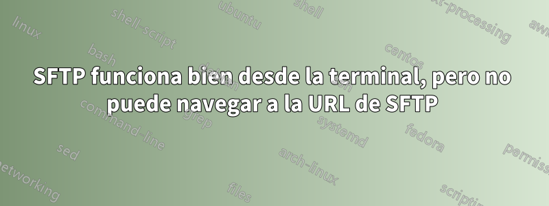 SFTP funciona bien desde la terminal, pero no puede navegar a la URL de SFTP