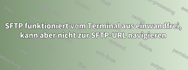 SFTP funktioniert vom Terminal aus einwandfrei, kann aber nicht zur SFTP-URL navigieren