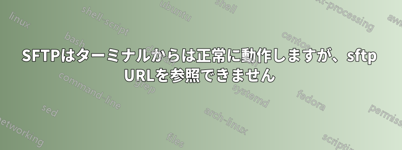 SFTPはターミナルからは正常に動作しますが、sftp URLを参照できません