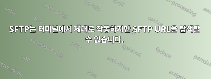 SFTP는 터미널에서 제대로 작동하지만 SFTP URL을 탐색할 수 없습니다.