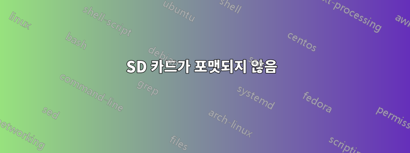 SD 카드가 포맷되지 않음 