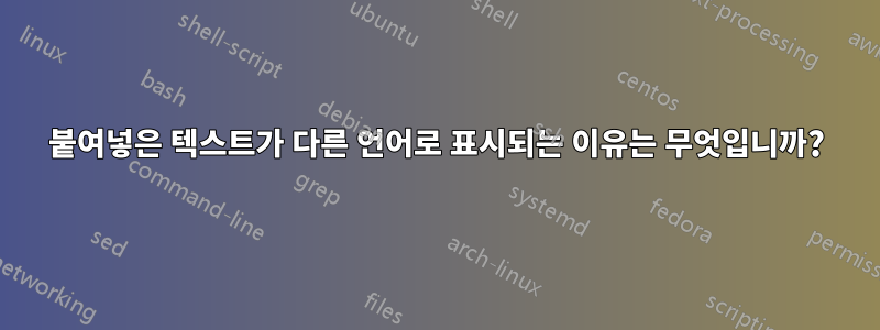 붙여넣은 텍스트가 다른 언어로 표시되는 이유는 무엇입니까?