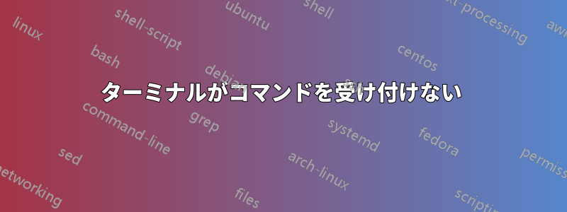 ターミナルがコマンドを受け付けない