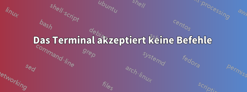 Das Terminal akzeptiert keine Befehle