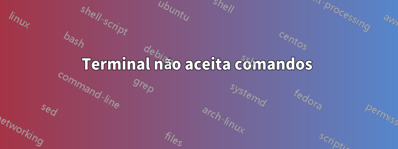 Terminal não aceita comandos