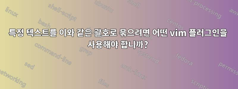 특정 텍스트를 이와 같은 괄호로 묶으려면 어떤 vim 플러그인을 사용해야 합니까?