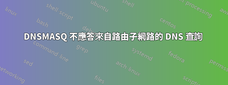 DNSMASQ 不應答來自路由子網路的 DNS 查詢