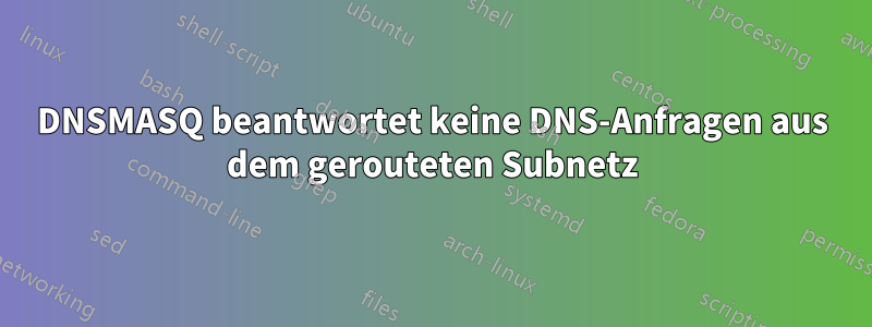 DNSMASQ beantwortet keine DNS-Anfragen aus dem gerouteten Subnetz