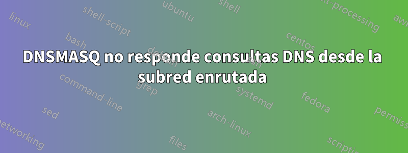 DNSMASQ no responde consultas DNS desde la subred enrutada