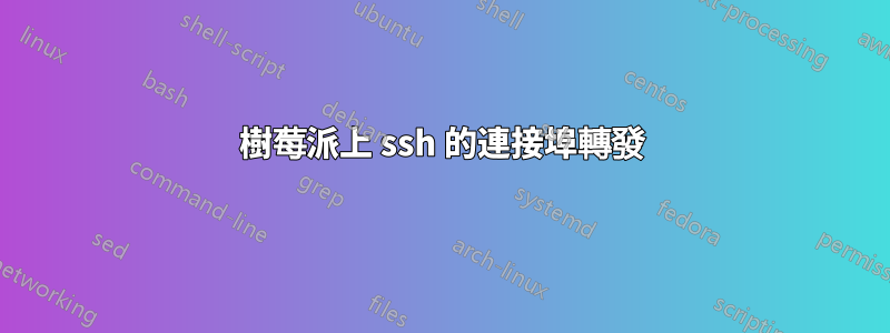 樹莓派上 ssh 的連接埠轉發