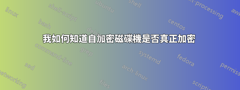 我如何知道自加密磁碟機是否真正加密