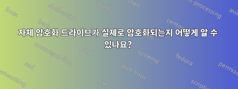 자체 암호화 드라이브가 실제로 암호화되는지 어떻게 알 수 있나요?