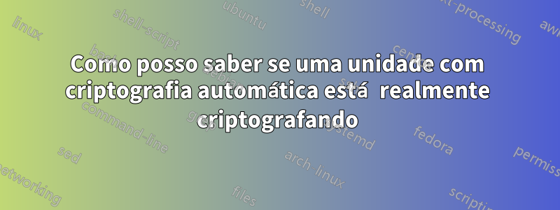 Como posso saber se uma unidade com criptografia automática está realmente criptografando