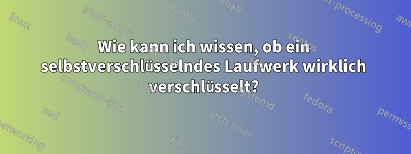 Wie kann ich wissen, ob ein selbstverschlüsselndes Laufwerk wirklich verschlüsselt?