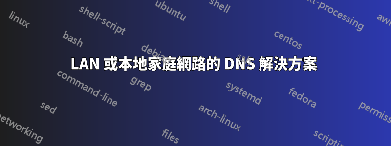 LAN 或本地家庭網路的 DNS 解決方案