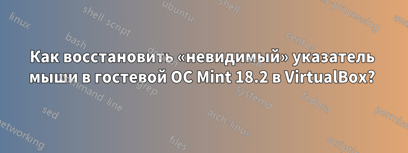 Как восстановить «невидимый» указатель мыши в гостевой ОС Mint 18.2 в VirtualBox?