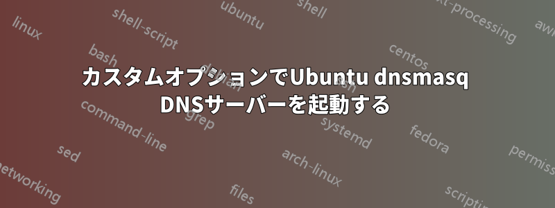 カスタムオプションでUbuntu dnsmasq DNSサーバーを起動する