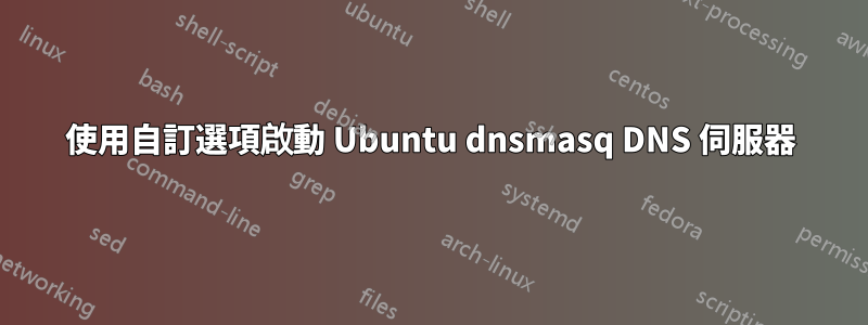 使用自訂選項啟動 Ubuntu dnsmasq DNS 伺服器