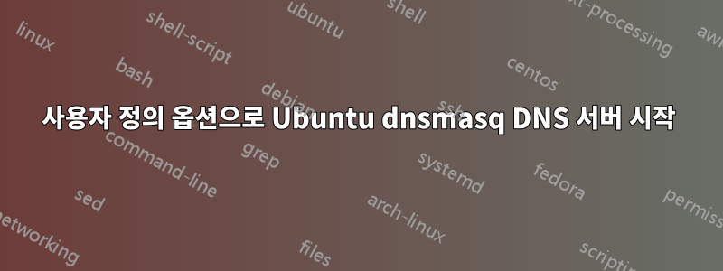 사용자 정의 옵션으로 Ubuntu dnsmasq DNS 서버 시작