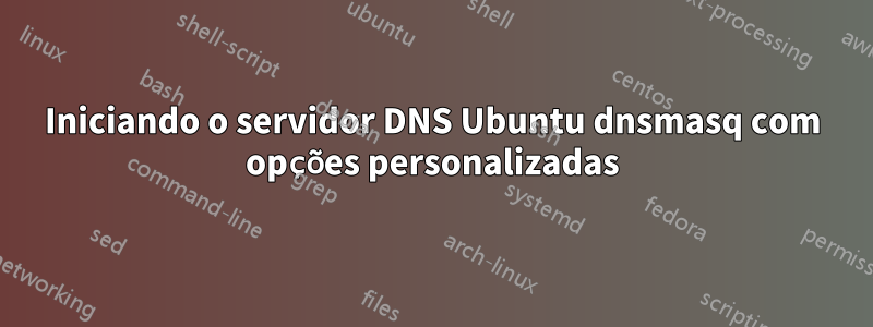 Iniciando o servidor DNS Ubuntu dnsmasq com opções personalizadas