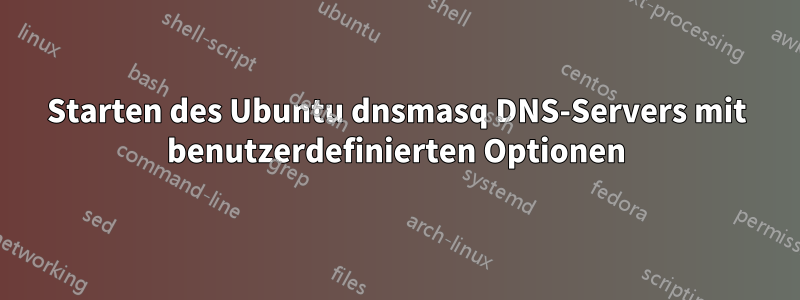 Starten des Ubuntu dnsmasq DNS-Servers mit benutzerdefinierten Optionen