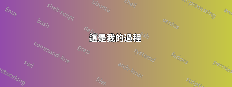 這是我的過程