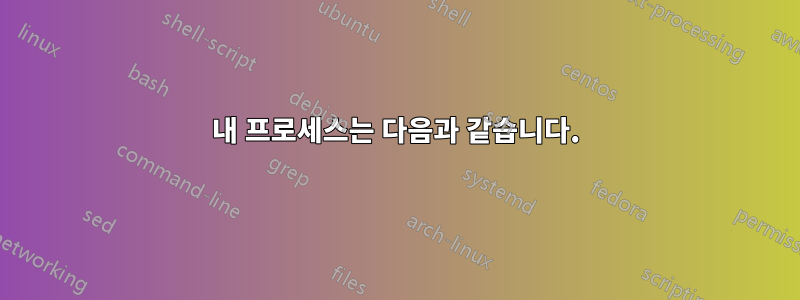 내 프로세스는 다음과 같습니다.