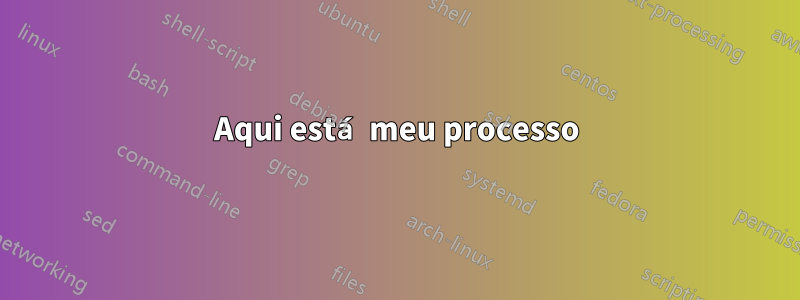 Aqui está meu processo