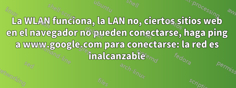 La WLAN funciona, la LAN no, ciertos sitios web en el navegador no pueden conectarse, haga ping a www.google.com para conectarse: la red es inalcanzable