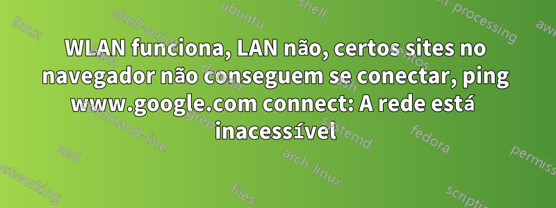 WLAN funciona, LAN não, certos sites no navegador não conseguem se conectar, ping www.google.com connect: A rede está inacessível