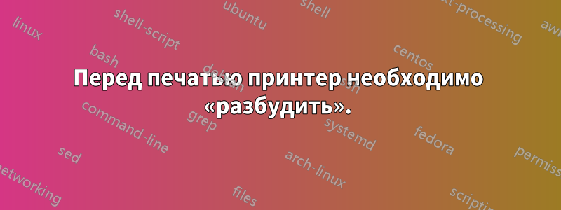 Перед печатью принтер необходимо «разбудить».