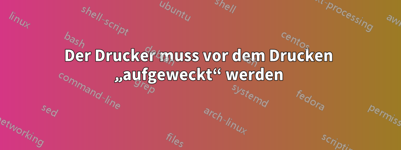 Der Drucker muss vor dem Drucken „aufgeweckt“ werden