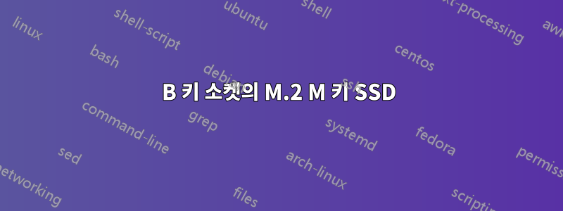 B 키 소켓의 M.2 M 키 SSD