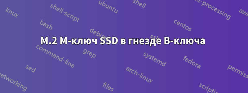 M.2 M-ключ SSD в гнезде B-ключа