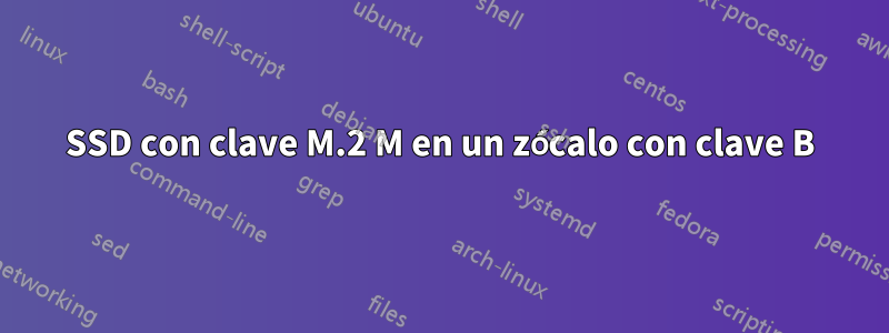 SSD con clave M.2 M en un zócalo con clave B