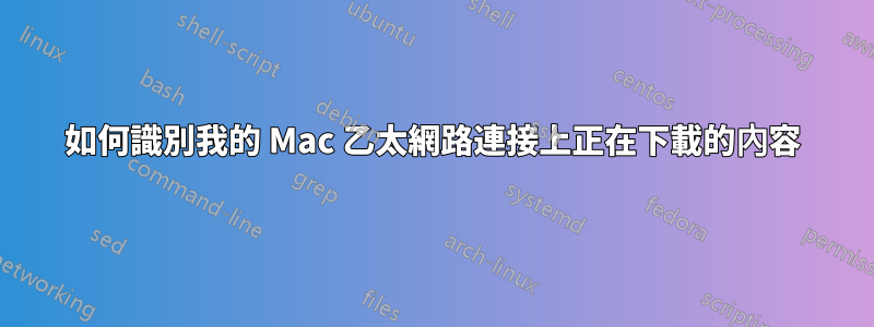 如何識別我的 Mac 乙太網路連接上正在下載的內容