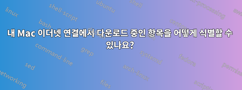 내 Mac 이더넷 연결에서 다운로드 중인 항목을 어떻게 식별할 수 있나요?