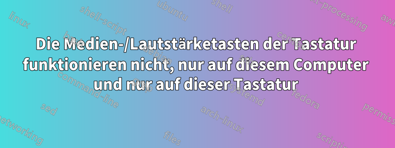 Die Medien-/Lautstärketasten der Tastatur funktionieren nicht, nur auf diesem Computer und nur auf dieser Tastatur